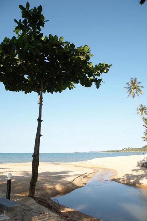 Hutcha Resort Мае Нам Екстериор снимка
